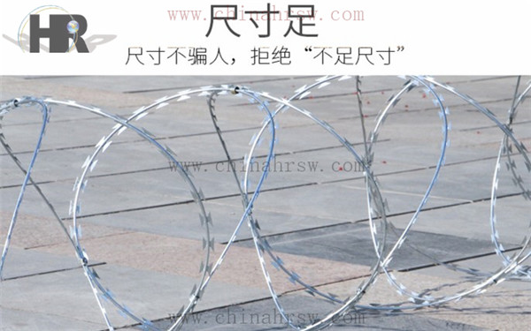 刺網